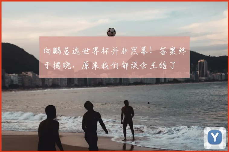 向鹏落选世界杯并非黑幕！答案终于揭晓，原来我们都误会王皓了