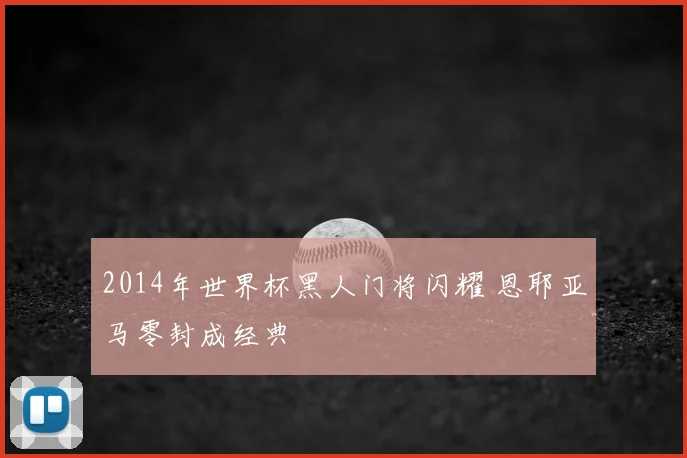 2014年世界杯黑人门将闪耀 恩耶亚马零封成经典