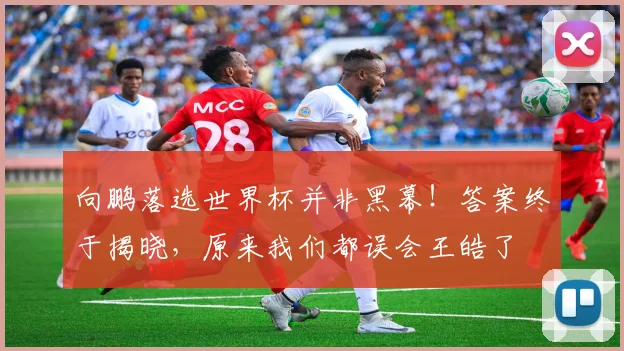 向鹏落选世界杯并非黑幕！答案终于揭晓，原来我们都误会王皓了