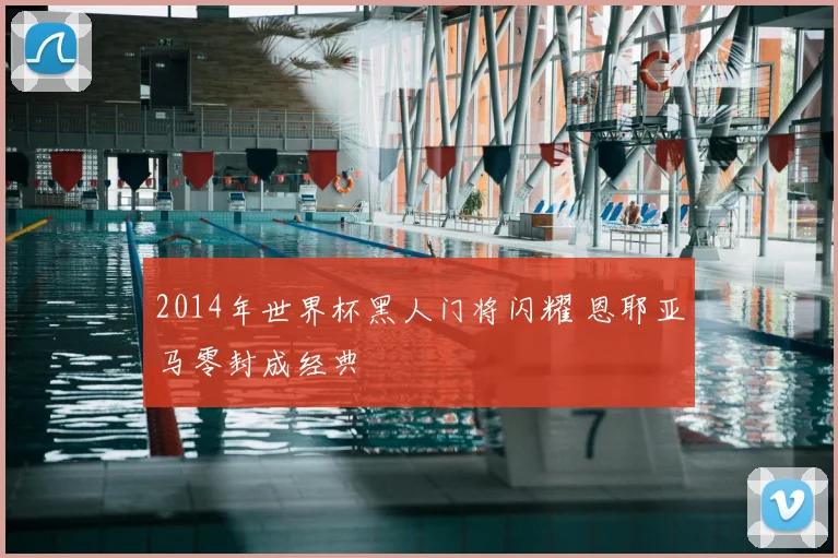 2014年世界杯黑人门将闪耀 恩耶亚马零封成经典